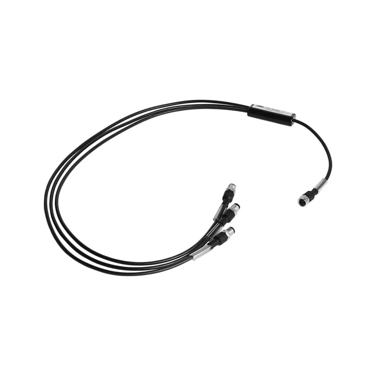 Cable “Y” con conectores rectos M12 - 5 pines Mod. SCP-CS-Y-B