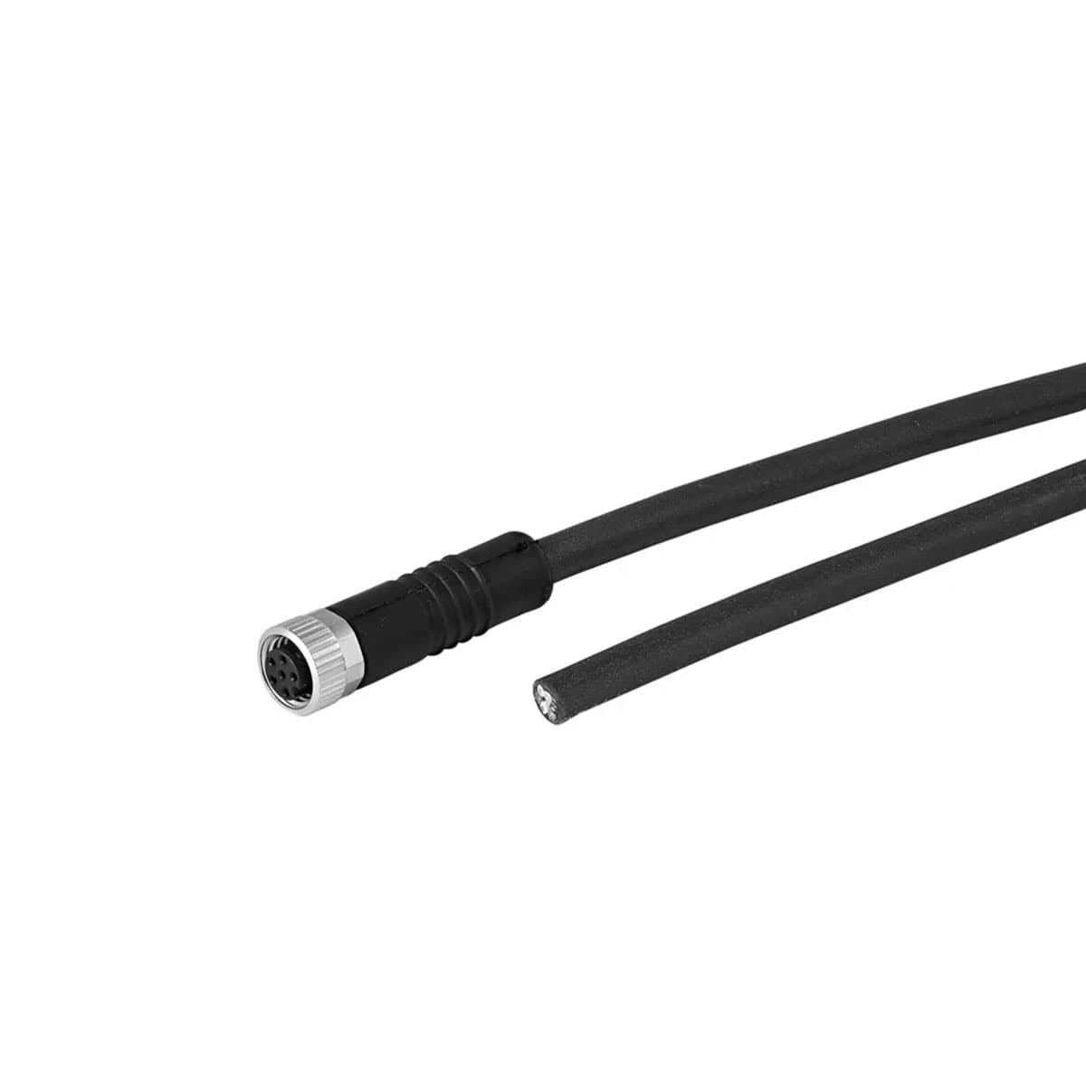 Cable con conector recto M8 / 6 pines Mod. CS-DF06HB-E*